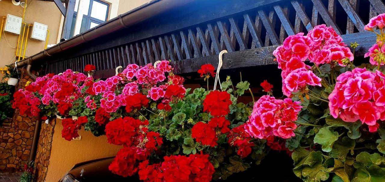 Casa Domneasca Rarau Otel Câmpulung Moldovenesc Dış mekan fotoğraf