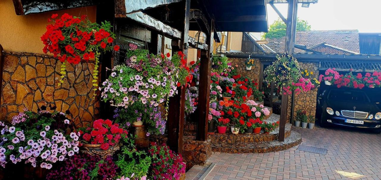 Casa Domneasca Rarau Otel Câmpulung Moldovenesc Dış mekan fotoğraf