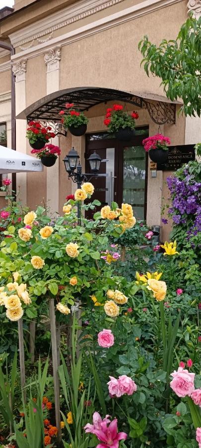 Casa Domneasca Rarau Otel Câmpulung Moldovenesc Dış mekan fotoğraf